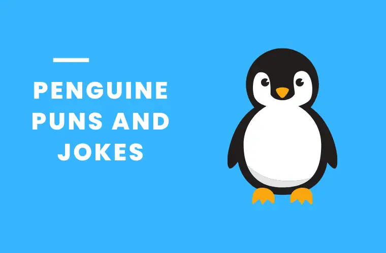 penguin jokes and puns