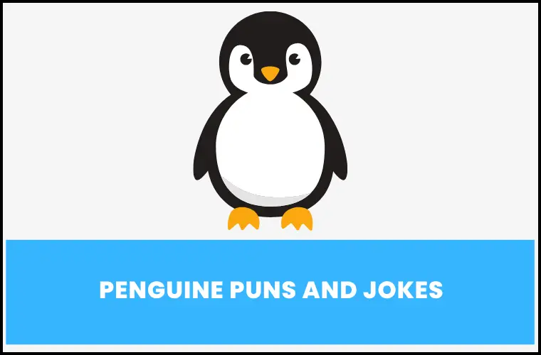 penguin jokes