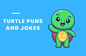 turtle puns and jokes