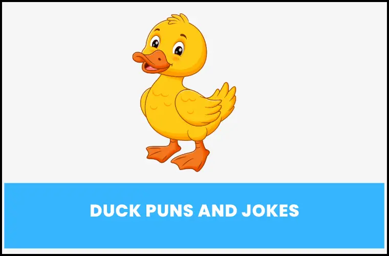 duck puns and jokes