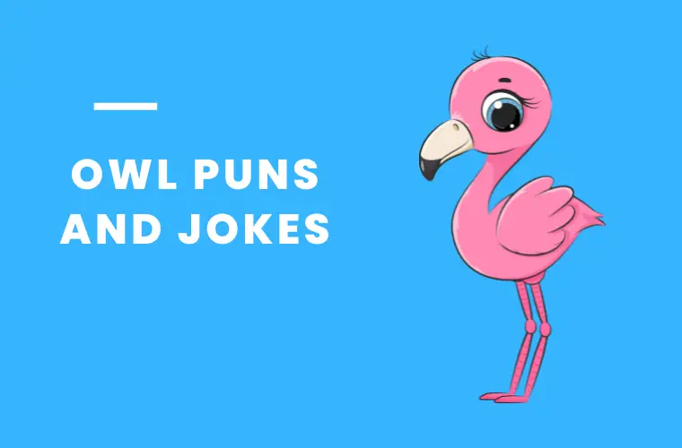 flamingo puns jokes