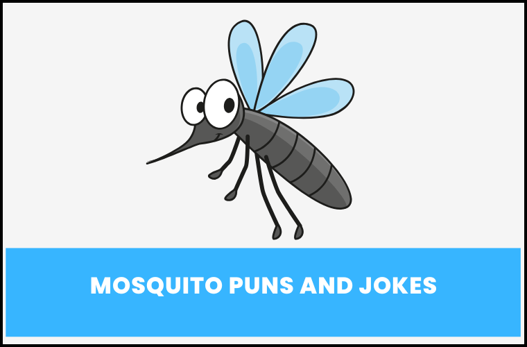 mosquito jokes