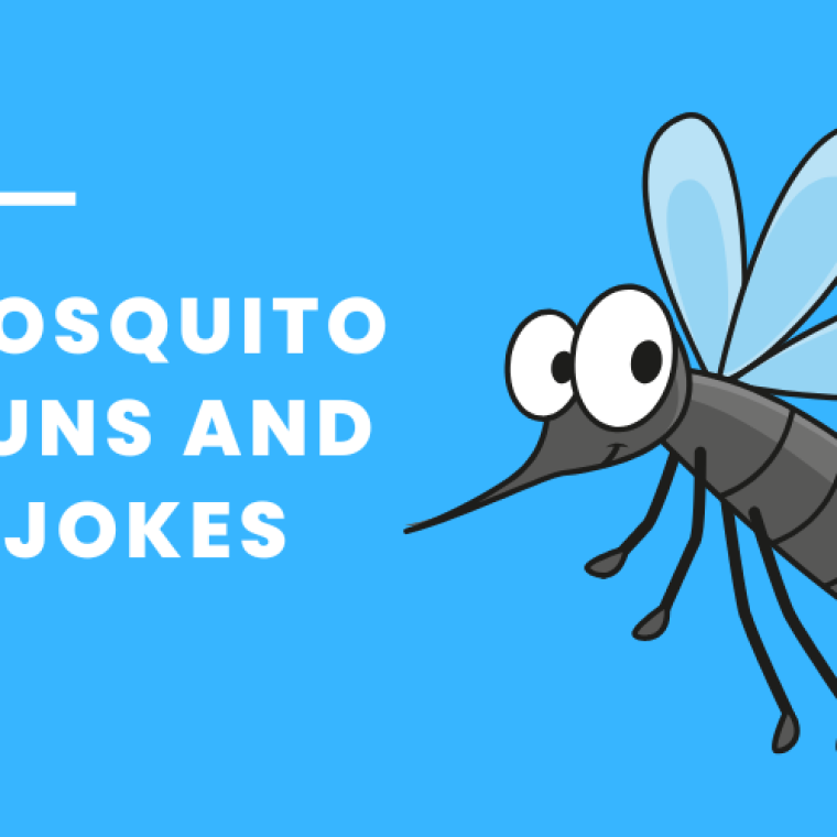 Mosquito