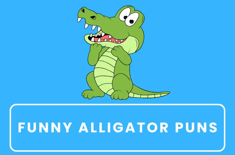 alligator jokes