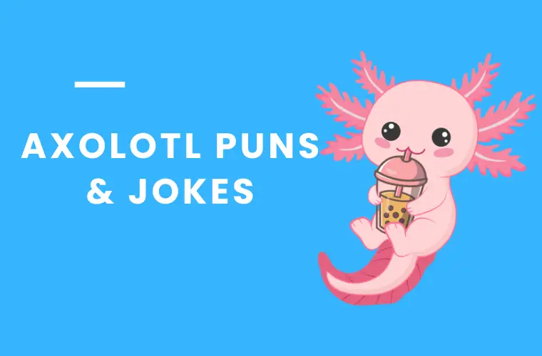 Axolotl Puns jokes