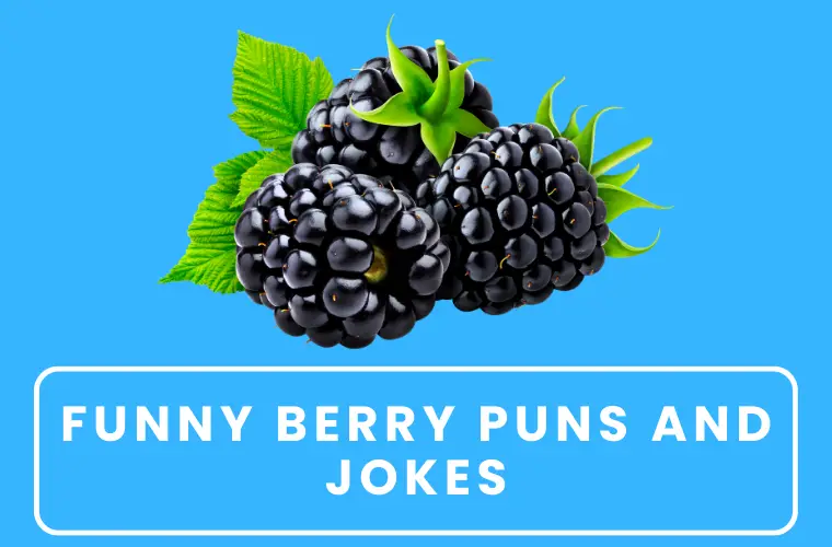 funny berry puns 