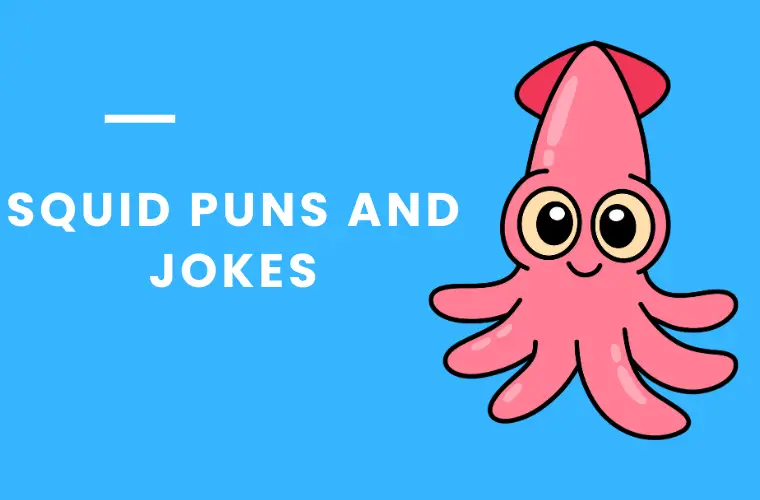squid jokes