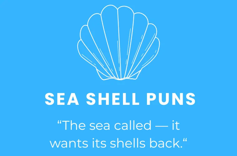 Sea Shell jokes