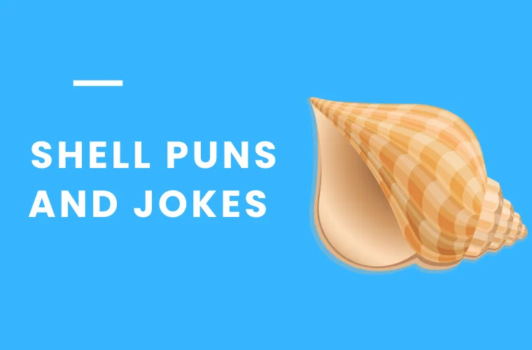 Shell jokes