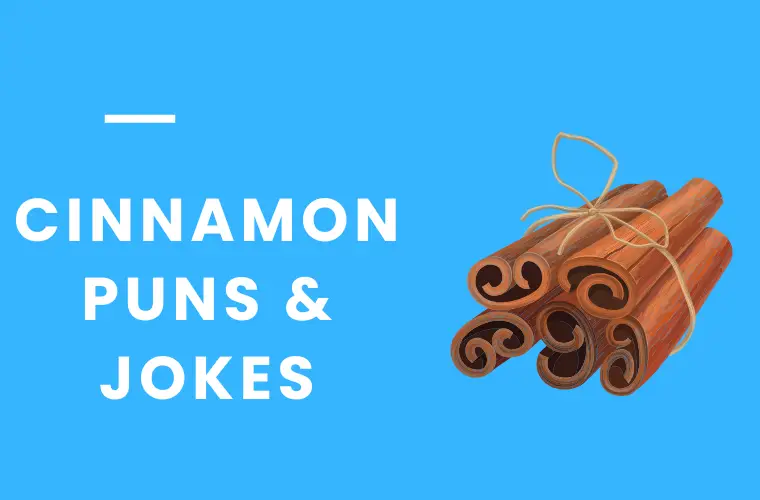 Cinnamon Puns & Jokes