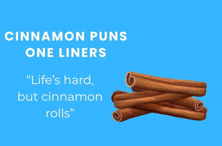Cinnamon puns one liners