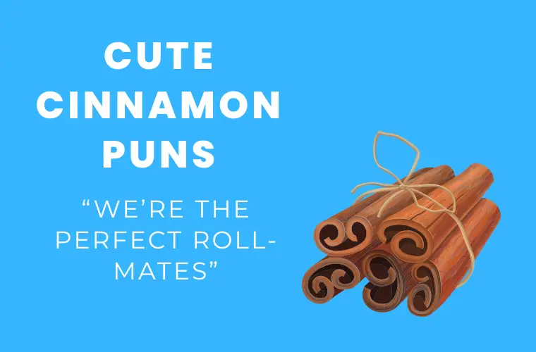 Cute cinnamon puns
