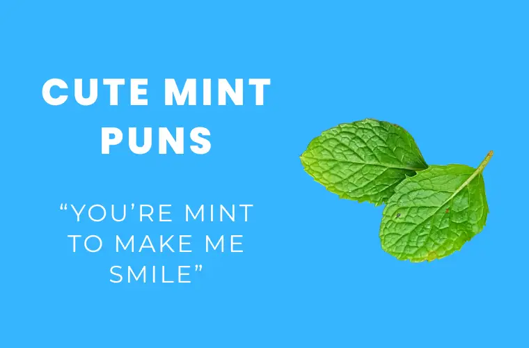 Cute mint puns
