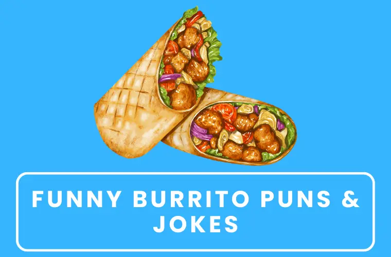 Funny Burrito Puns