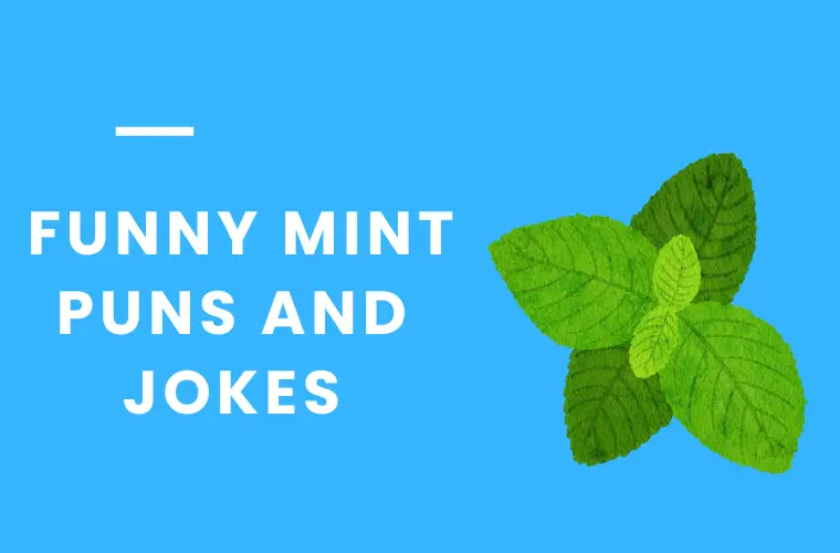 _Funny Mint Puns