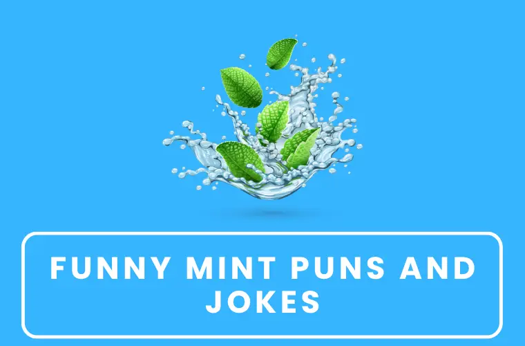 Funny mint puns and jokes