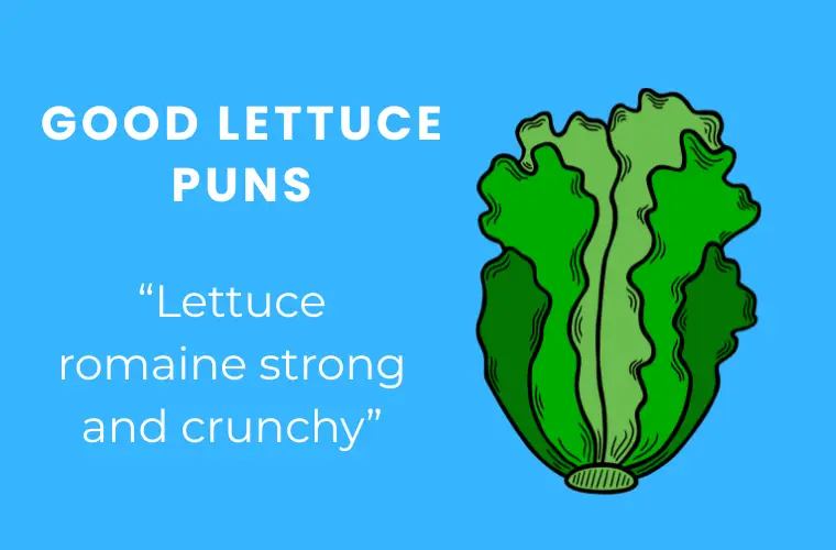 Good Lettuce jokes