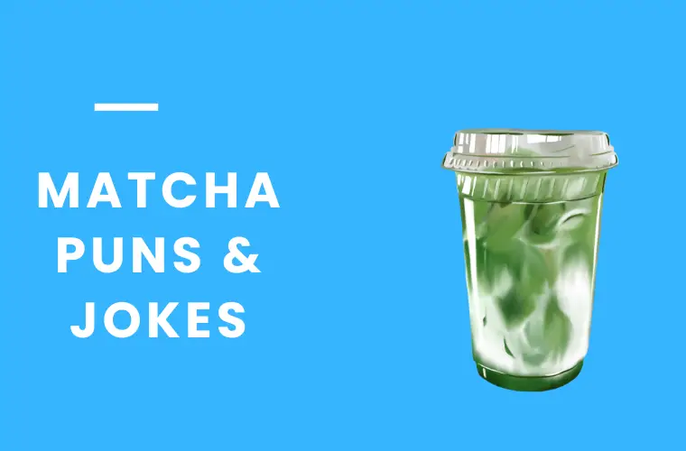 Matcha Puns & Jokes