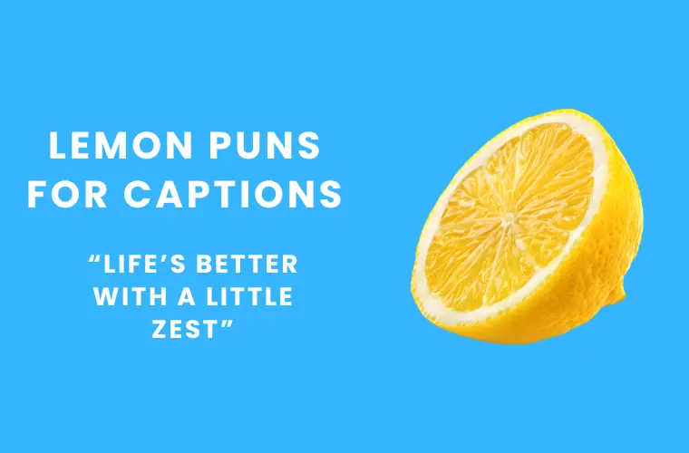 Lemon puns for captions