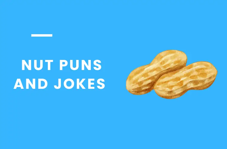 _Nut Puns and jokes