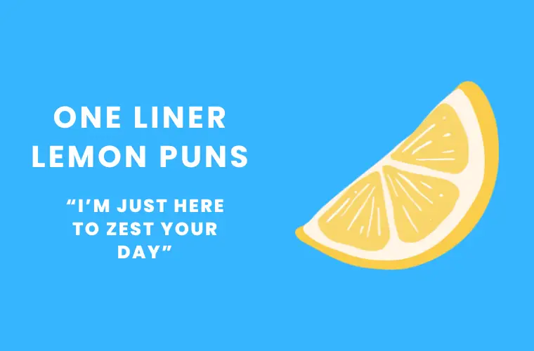 One liner lemon puns