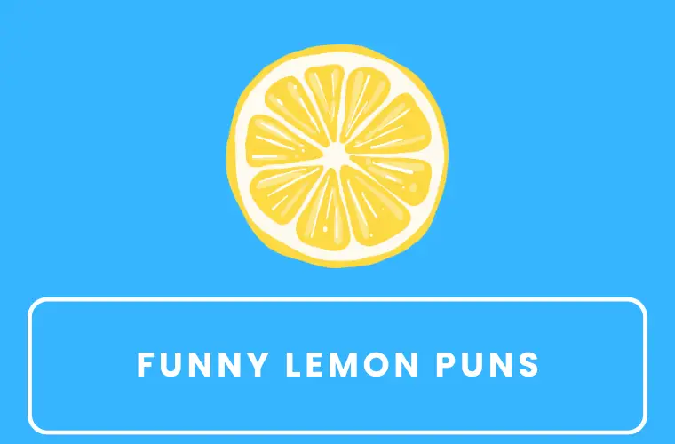 funny lemon puns
