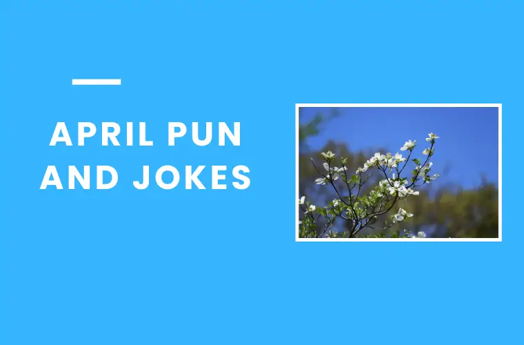 April Pun and jokes