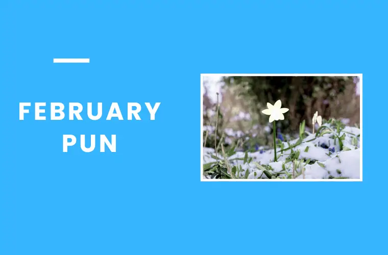 February Pun