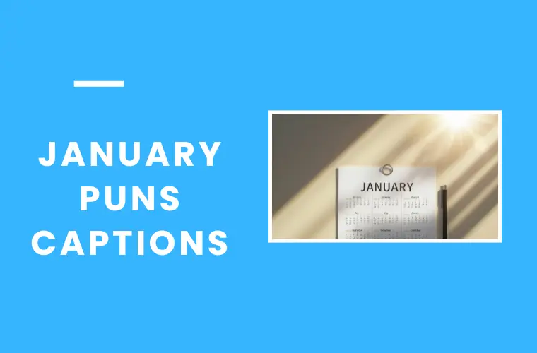 January puns captions