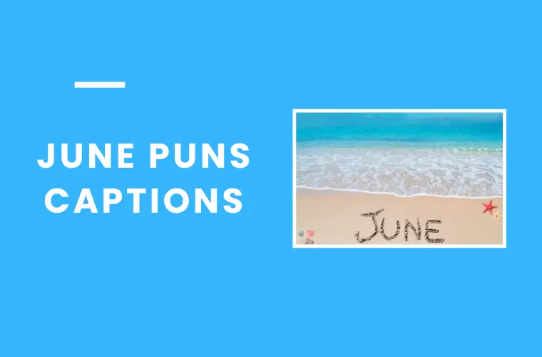 June puns captions